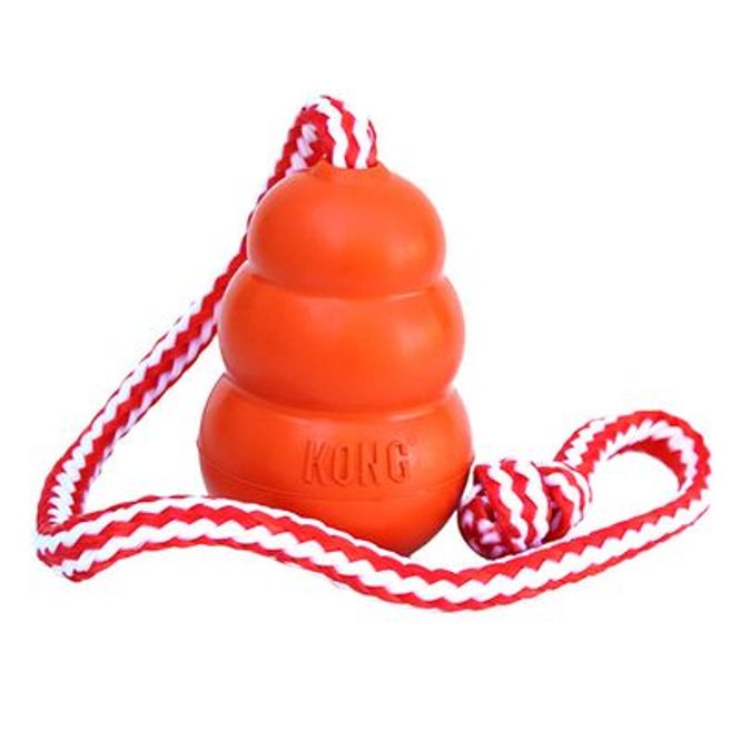 Hovedbilde Hundeleke KONG Aqua L Flyter