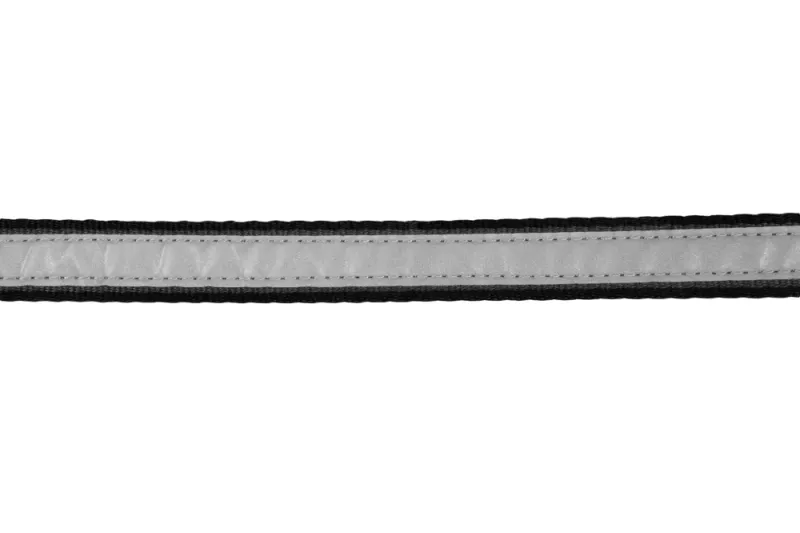 Move Leash 20mm 1,7m