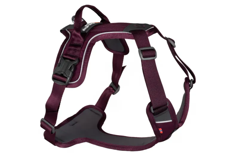 Ramble harness Lilla